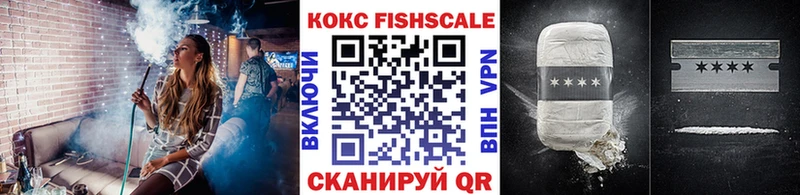 COCAIN Fish Scale  Купить закладки  Лобня 
