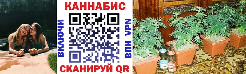 Каннабис OG Kush  Купить где  Лобня 